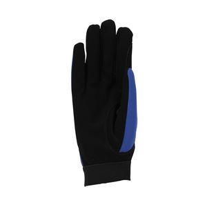 Shires Aubrion Team Winter Riding Gloves (Blue)