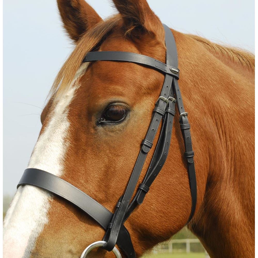 Heritage Saddlery English Leather Hunter Bridle with Wide Cavesson Noseband