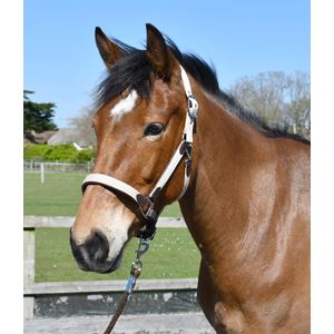 Heritage Padded Leather Lined Headcollar (Brown/Cream)