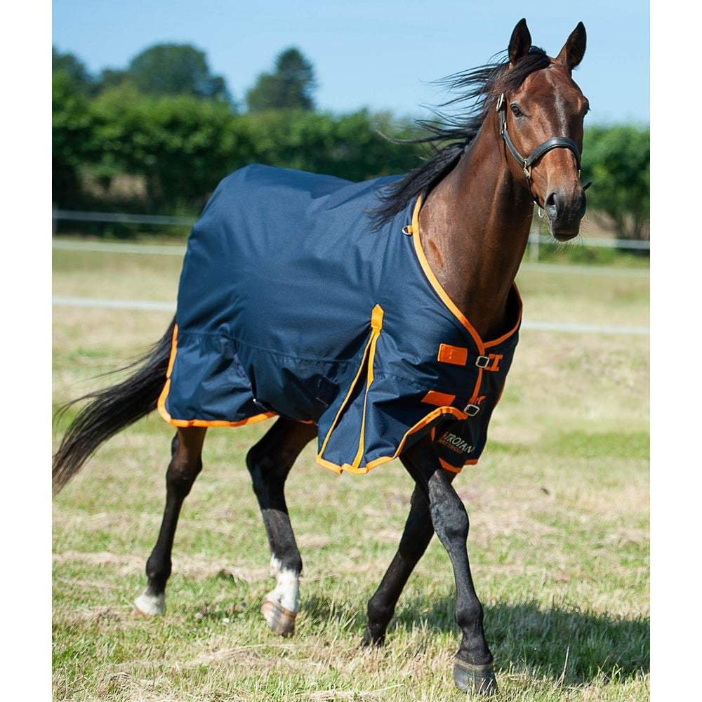 Gallop Trojan 100 Turnout Rug (Navy/Orange)