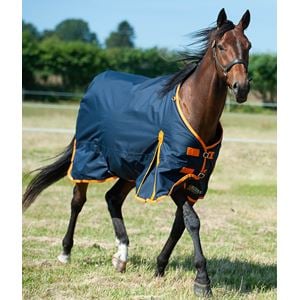 Gallop Trojan 100 Turnout Rug (Navy/Orange)