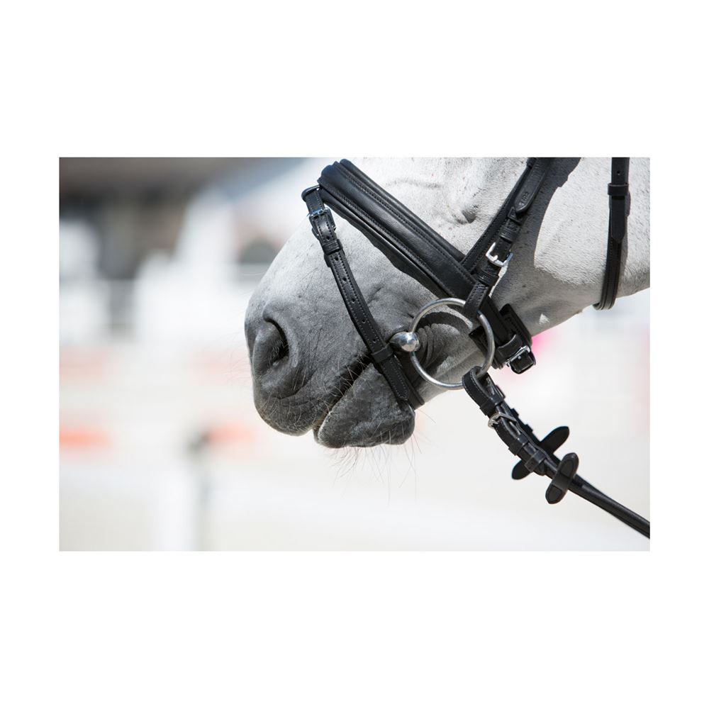 Kieffer Ultrasoft Economy Snaffle Bridle