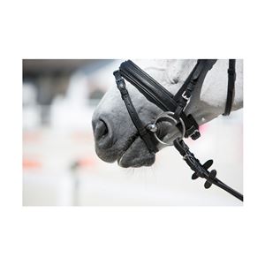 Kieffer Ultrasoft Economy Snaffle Bridle