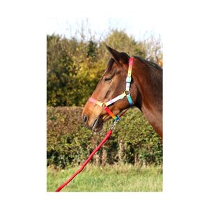 Hy Multicolour Adjustable Head Collar with Rope (Rainbow)