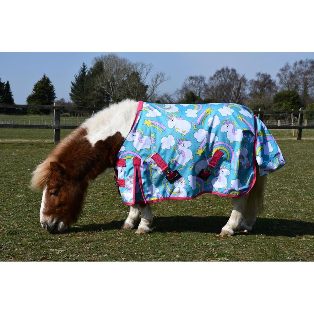 Rhinegold Unicorn Mini Torrent Outdoor Rug - 0g (Unicorn Print)