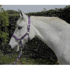 Rhinegold Carnival Headcollar & Lead Rope Set (Purple Check)