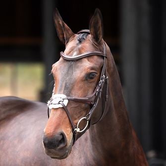 Shires Velociti Lusso Elite Grackle Bridle (Havana)