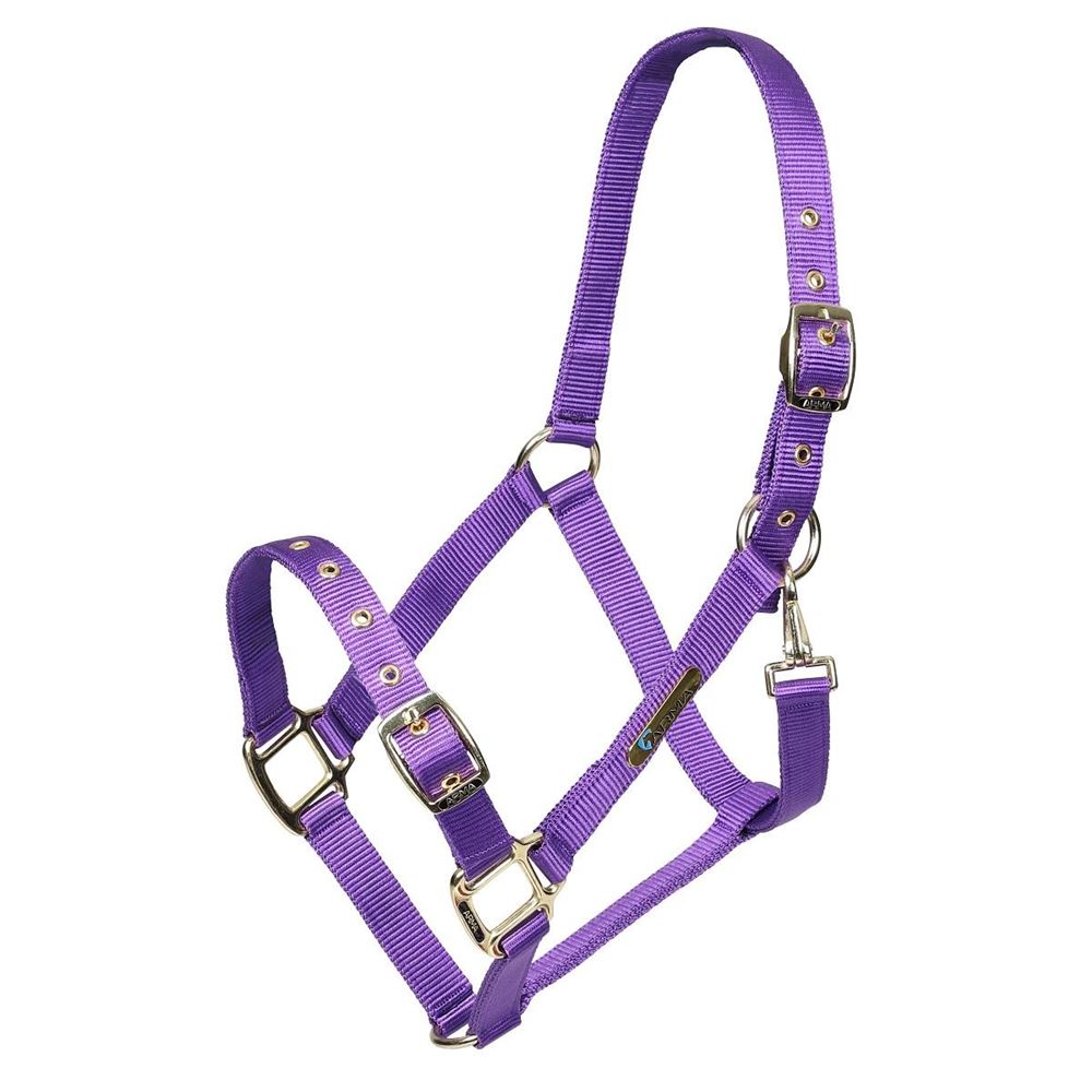 Shires ARMA Adjustable Headcollar (Purple)