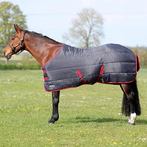 Hy Equestrian Hyconic 100g Stable Rug