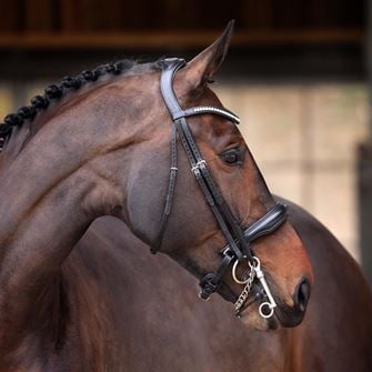 Shires Velociti Lusso Double Bridle (Black)