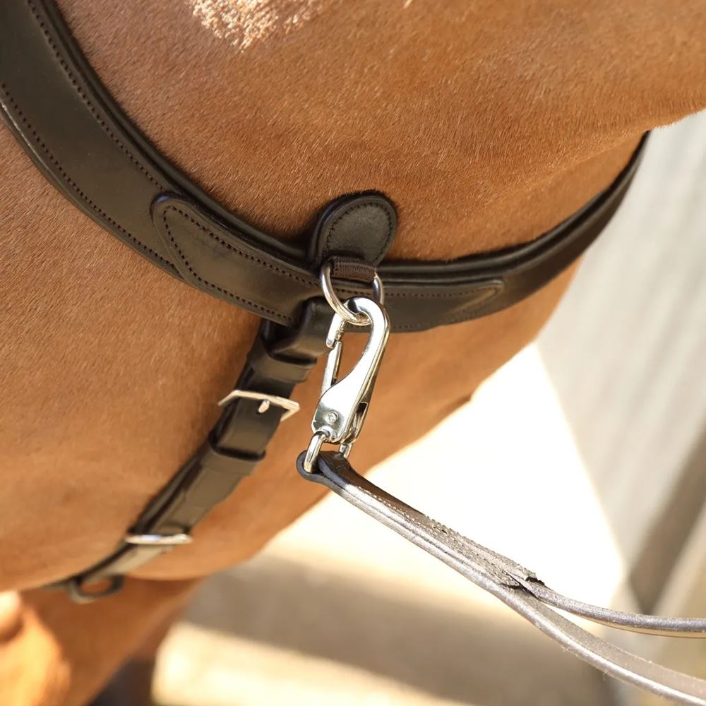 Shires Velociti RAPIDA Ergonomic Breastplate (Havana)