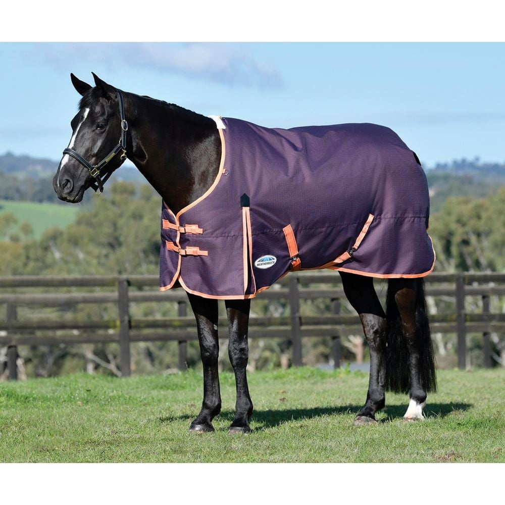 Weatherbeeta ComFiTec Essential Standard Neck Medium Turnout Rug (Plum/Orange/Grey)