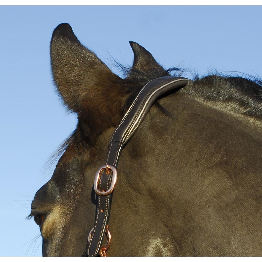 Rhinegold Rocco Italia Turin Leather Headcollar