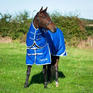 Gallop Trojan Xtra 300 Dual Turnout Rug & Neck Set (Royal Blue/Grey)