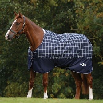 Saxon Defiant 600D Standard Neck Medium Turnout Rug 200g