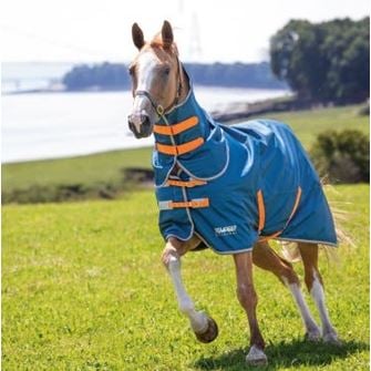 Shires Tempest Original Lite Turnout Rug & Neck Set (Teal)