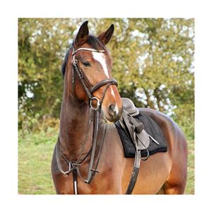 Hy Equestrian Rosciano Rose Gold Bridle (Black)