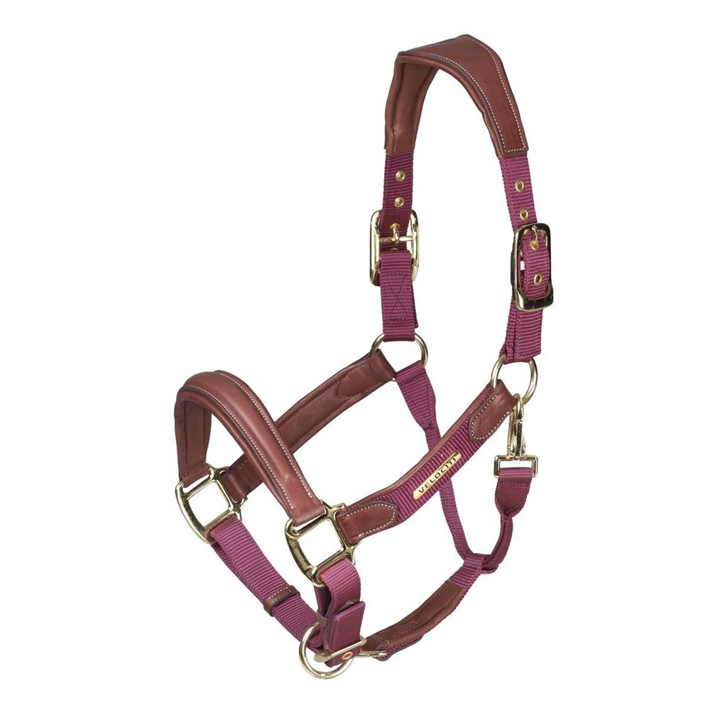 Shires Velociti Lusso Padded Leather Headcollar (Burgundy)