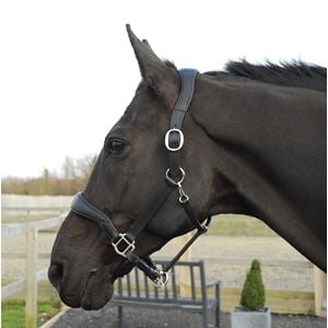 Rhinegold Softee Pro-Anatomical Leather Headcollar