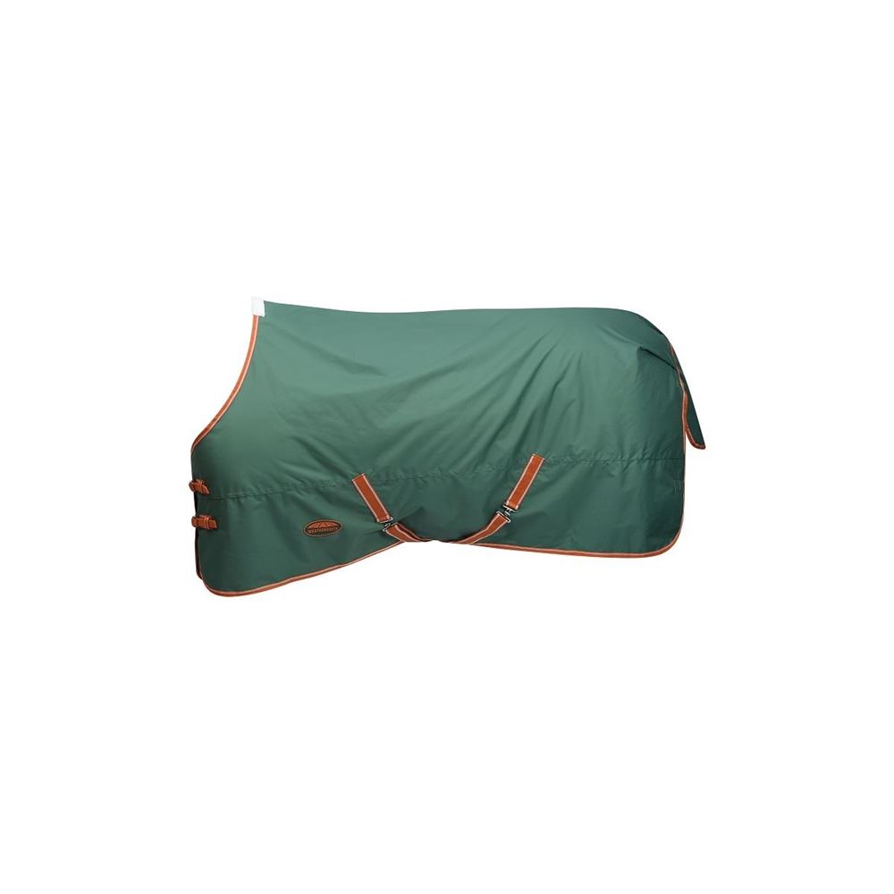 WeatherBeeta ComFiTec Tyro Standard Neck Medium Turnout Rug (Green/Burnt Orange/White)