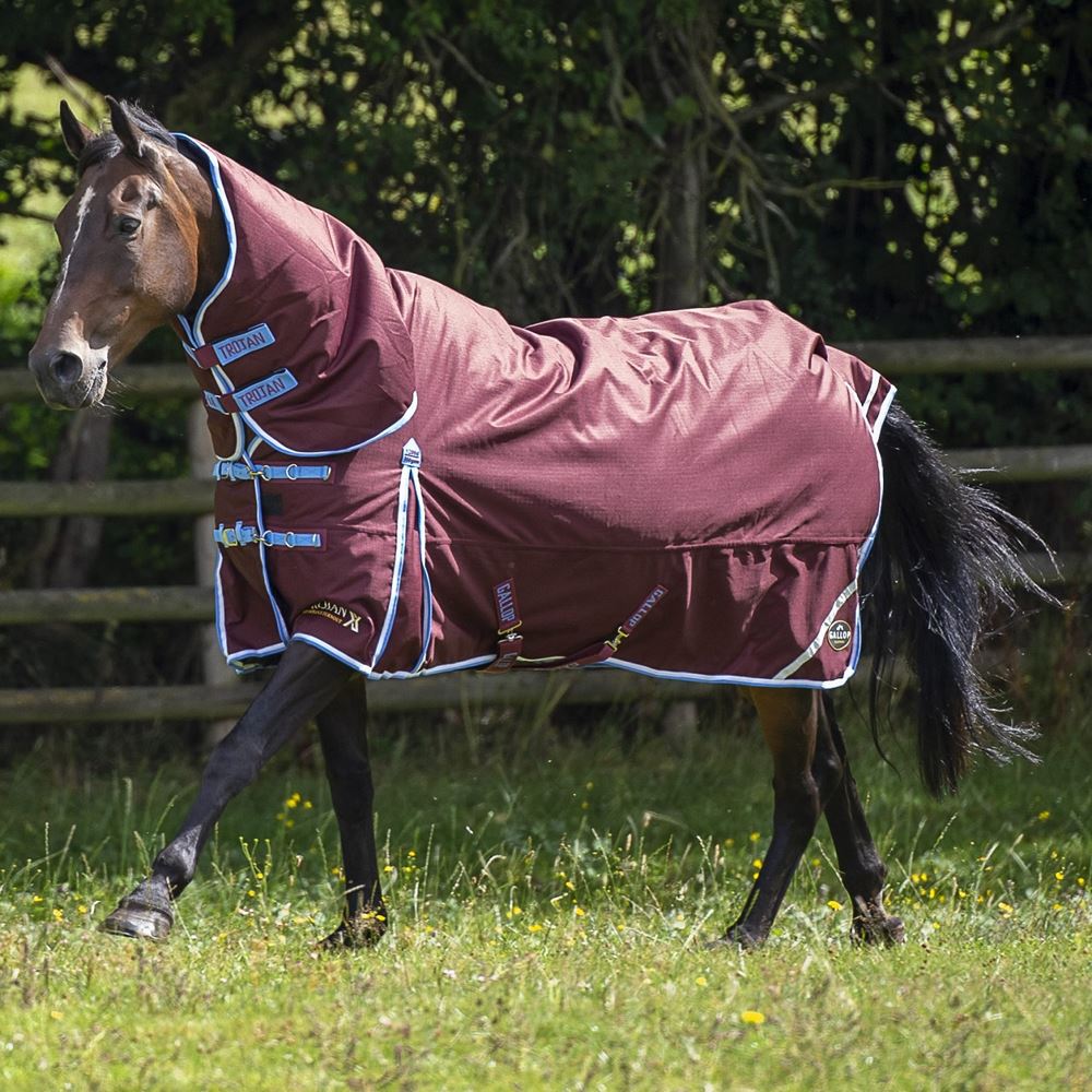 Gallop Trojan Xtra 350 Turnout Combo (Burgundy/White & Sky)