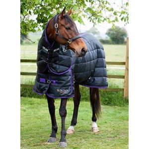 Gallop Trojan Dual 200 Stable Rug & Neck Set (Black/Purple)