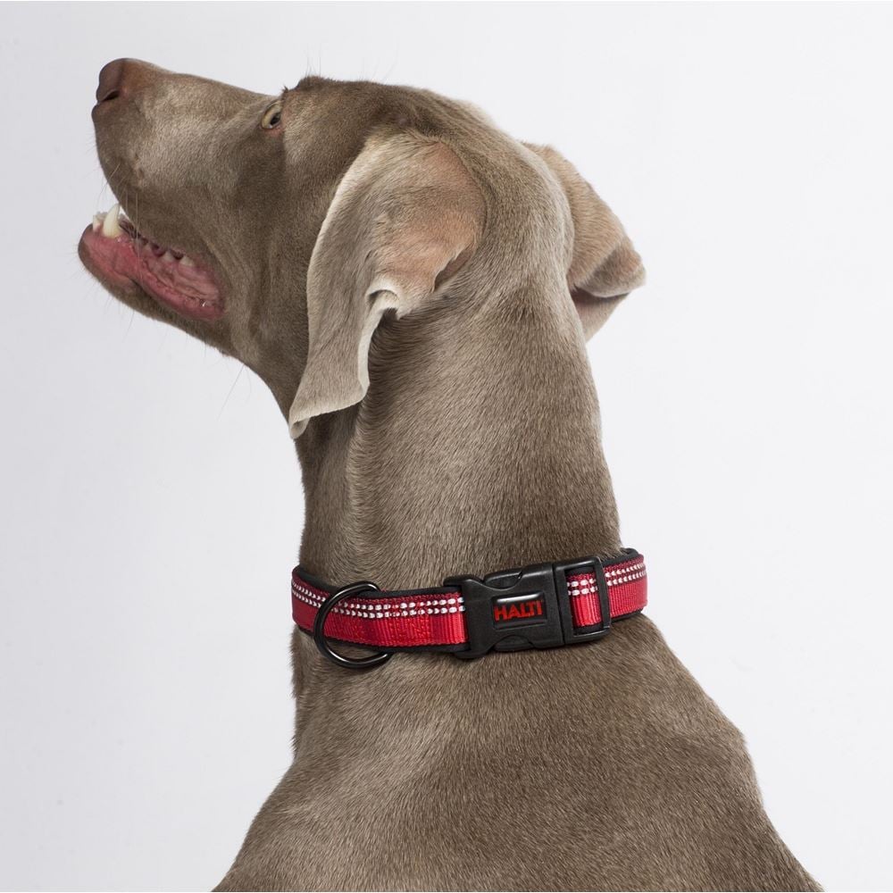 Halti Collar - Large