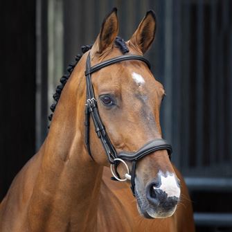 Shires Velociti LUSSO Ergonomic Flash Bridle (Black)