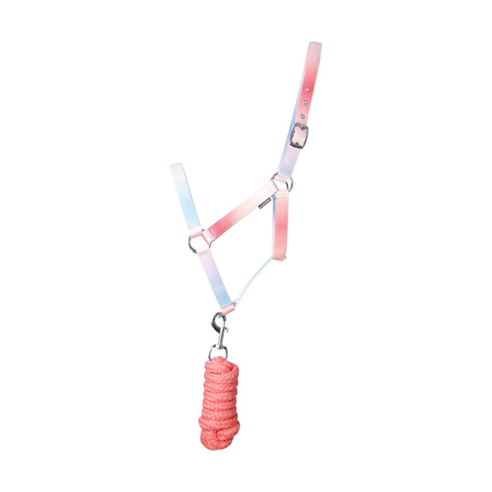 Hy Equestrian Ombre Head Collar & Lead Rope (Coral/Blue)