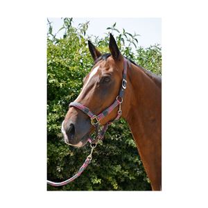 Hy Equestrian Multicolour Adjustable Head Collar with Rope (Grey)