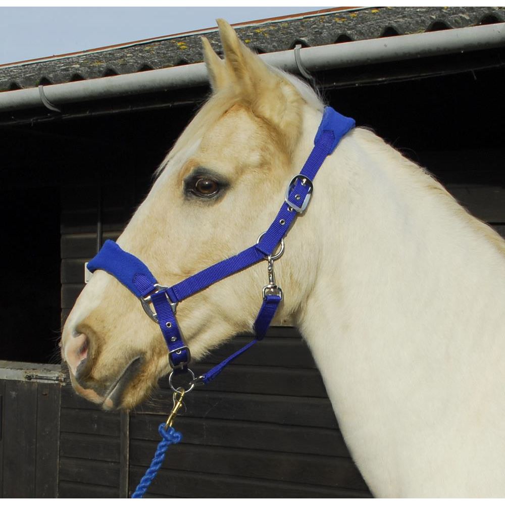 Rhinegold Comfort Headcollar and Rope Set (Royal Blue)