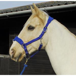 Rhinegold Comfort Headcollar and Rope Set (Royal Blue)