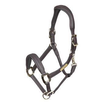 Shires Velociti Rapida Comfort Leather Headcollar (Havana)