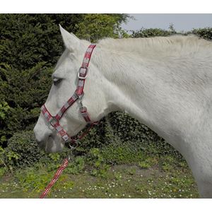 Rhinegold Carnival Headcollar & Lead Rope Set (Red Check)