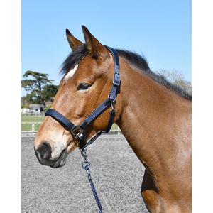 Heritage Anatomical Leather-Lined Headcollar (Navy)