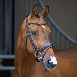 **barcodes/brand*Shires Velociti Lusso Dressage Flash Bridle (Havana)