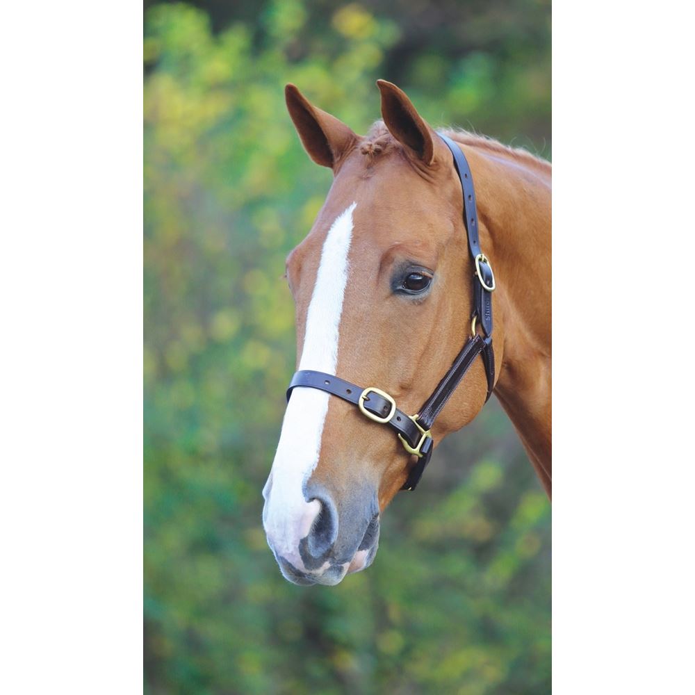 Shires Velociti GARA Fully Adjustable Leather Headcollar (Havana)