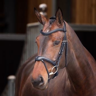 Shires Velociti Lusso Elite Flash Bridle (Black)