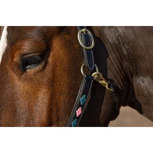 Gallop Premium Padded Leather Headcollar (Pink/Aqua)