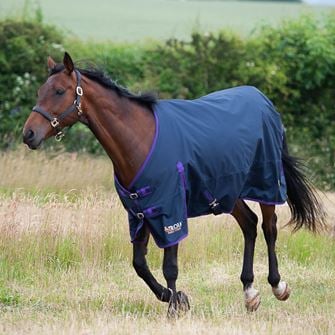 Gallop Trojan Lightweight Turnout Rug - 0g (Navy)