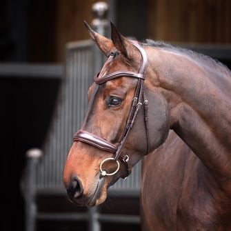 Shires Velociti Lusso Elite Padded Cavesson Bridle (Havana)