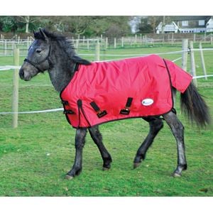 Rhinegold Konig Small Pony/Foal Outdoor Rug - 200g (Red)