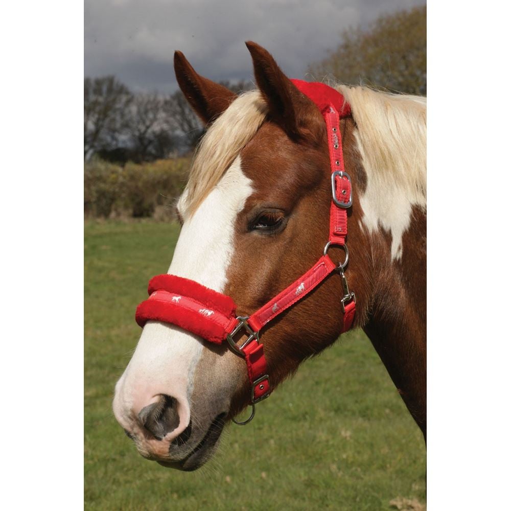 Rhinegold Padded Logo Headcollar (Red)