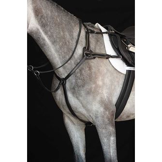 Collegiate 5 Point Breastplate