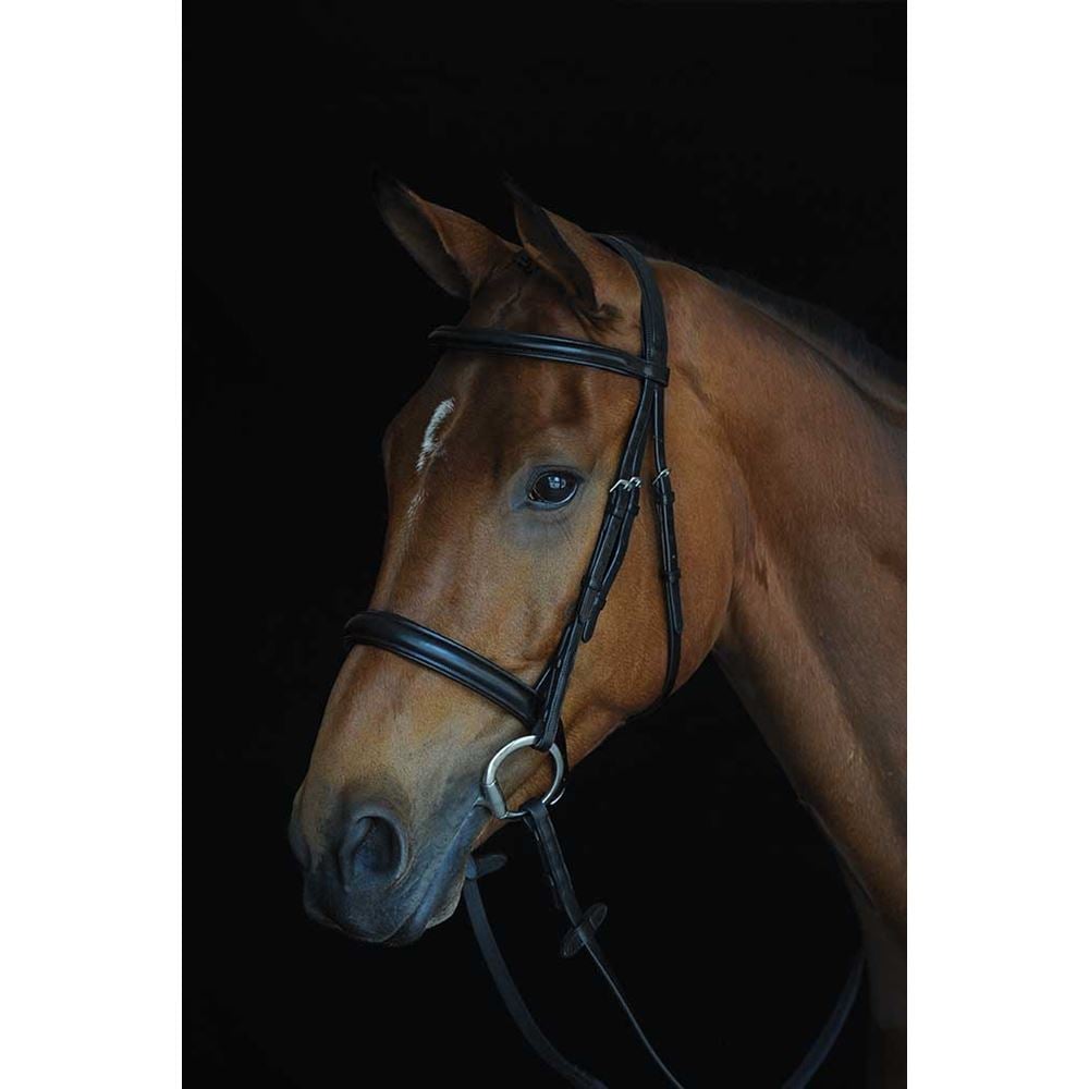 Collegiate Comfort Crown Padded Raised Cavesson Bridle