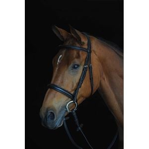 Collegiate Comfort Crown Padded Raised Cavesson Bridle