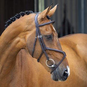 Shires Velociti LUSSO Grackle Bridle (Havana)