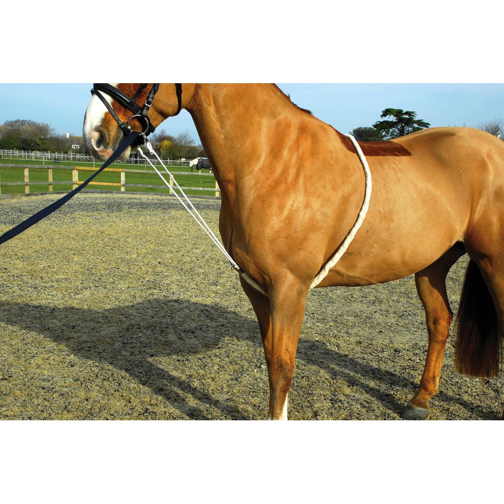 Rhinegold Soft Lunge Aid