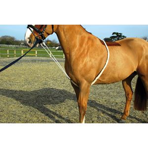 Rhinegold Soft Lunge Aid