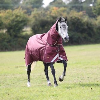 Shires Highlander Plus 100 Combo Turnout Rug (Maroon)